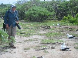 cocos islands, nature photography, wildlife potography, bird photography, cocos islands, Pulu Keeling, North Keeling Island